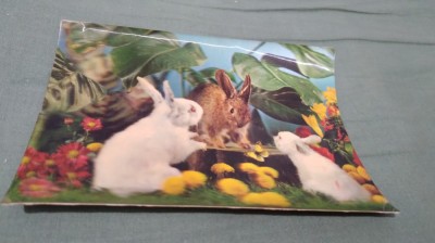 CARTE POSTALA 3D NECIRCULATA foto