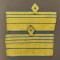 Grade de m&acirc;necă uniforma militara general de aviatie, pilot, aviator