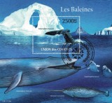 Timbre Comore 2011, Balene/Colita, Straine Dupa 1950, Tema Fauna Marina, Colectie Postala, Valoare Nominala 8F, Stampilat
