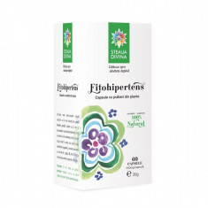 Fitohipertens 500mg, 60 capsule, Steaua Divina