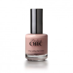 Lac De Unghii Profesional Perfect Chic 463 Read My Nails 17ml foto