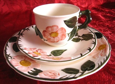 SET MIC DEJUN PORTELAN VILLEROY&amp;amp;BOCH MODEL WILD ROSE CEASCA CAFEA CU FARFURII foto