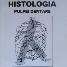 HISTOLOGIA PULPEI DENTARE-MARIA NITA