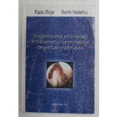 ENDOPIELOTOMIA ANTEROGRADA IN TRATAMENTUL HIDROFRENOZELOR CONGENITALE SI CASTIGATE de RADU BOJA si SORIN NEDELCU , 2003