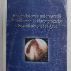 ENDOPIELOTOMIA ANTEROGRADA IN TRATAMENTUL HIDROFRENOZELOR CONGENITALE SI CASTIGATE de RADU BOJA si SORIN NEDELCU , 2003