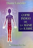 Carte Copiii Indigo de la Manie la Iubire Dianne Lancaster 2004 Brosata 256 Pagini Ezoterism Paranormal Psihologie