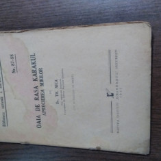 OAIA DE RASA KARAKUL APRECIEREA MIEILOR - Th. Nica - 1942, 60 p.
