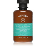 Apivita Holistic Hair Care Nettle &amp; Propolis Sampon pentru scalp gras si fire de par cu terminatii uscate 250 ml