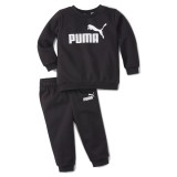Puma Minicats