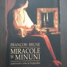 MIRACOLE SI MINUNI - FRANCOIS BRUNE