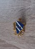 QW9 N 77 - insigna - militar - Unitatea militara 78, Europa