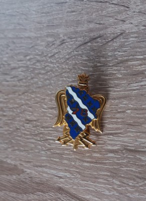 QW9 N 77 - insigna - militar - Unitatea militara 78 foto