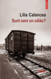 Sunt oare un călău? - Paperback brosat - Lilia Calancea - Polirom