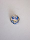 QW9 I 14 - Insigna - tematica heraldica - stema orasului Otopeni, Romania de la 1950
