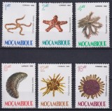 Mozambic 1982 - Fauna marina, serie neuzata