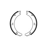 Set saboti frana mana Delphi LS1958, parte montare : Punte Spate