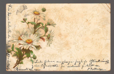 CPIB 20837 FELICITARE - BUCHET DE FLORI, 1901 foto