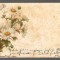 CPIB 20837 FELICITARE - BUCHET DE FLORI, 1901