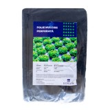 Folie mulcire, antiburuieni, Gorjan, perforata, polietilena, negru, 30 mic, 25 x 25 cm, 8 gauri x D 50 mm, 2 x 50 m