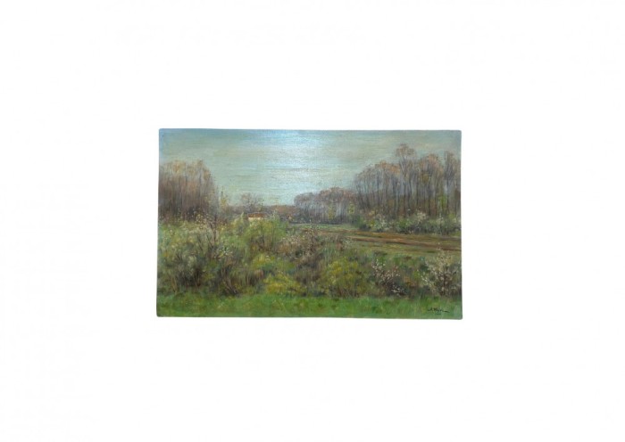 Alfons Vezoc - Peisaje banatene - Tablou