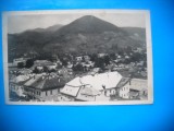 HOPCT 469 W BAIA MARE -1946-JUD MARAMURES-CIRCULATA, Printata, Satu Mare