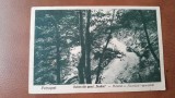 Carte postala. Petrosani vedere din Pasul Surduc, 1922