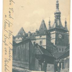 2889 - SIGHISOARA, Mures, Romania - old postcard - used - 1905