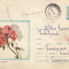 Romania, Muscata de gradina, plic circulat intern, 1969
