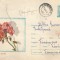 Romania, Muscata de gradina, plic circulat intern, 1969