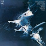 Weather Report - Blue Vinyl | Weather Report, Columbia Records