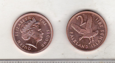 bnk mnd Insulele Falkland 2 penny 2011 unc , pasare foto
