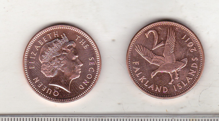 bnk mnd Insulele Falkland 2 penny 2011 unc , pasare