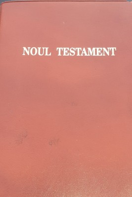 NOUL TESTAMENT 1959 EDITIE REVAZUTA DE PARINTII FRANCISCANI foto