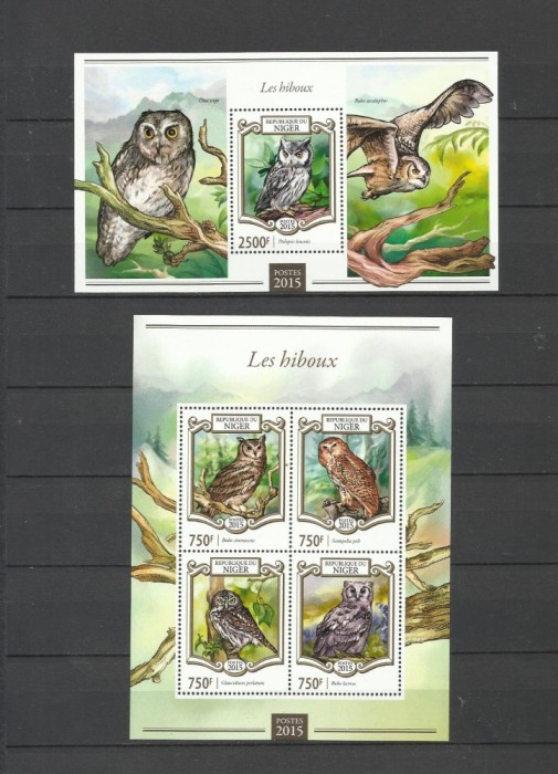 NIGER 2015 PASARI DE PRADA BUFNITE