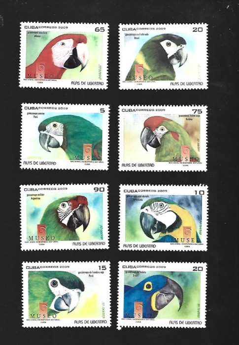 cuba pasari mnh