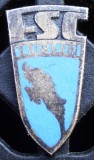 I.553 INSIGNA POLONIA FSC LUBLIN AUTO AUTOMOBILE AUTOCAMIOANE