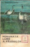 Minunata lume a pasarilor - I. Bordeianu, Editura Albatros 1979, Editie de colectie, Carte rara