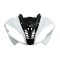 Carena fata Yamaha YYZF R6 YZFR6 YZF600 2008-2016