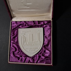 Placheta heraldica municipiul Cluj , lumina si progres , medalie