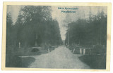 2475 - ORADEA, Baile Episcopesti ( 1 Mai ) Romania - old postcard - unused, Necirculata, Printata