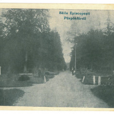 2475 - ORADEA, Baile Episcopesti ( 1 Mai ) Romania - old postcard - unused