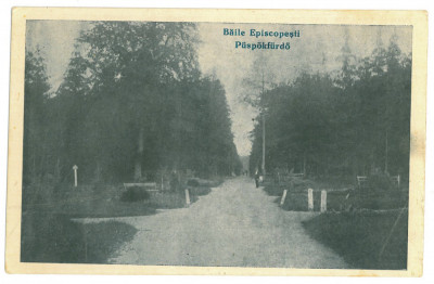 2475 - ORADEA, Baile Episcopesti ( 1 Mai ) Romania - old postcard - unused foto