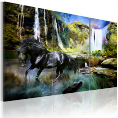 Tablou canvas 3 piese - Cal pe fundalul cascadei albastre - 120x80 cm foto