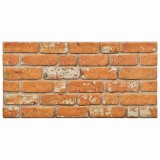 vidaXL Panouri de perete 10 pcs Cărămidă 100 x 50 cm Spumă EPS 153605