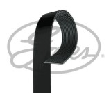 Curea transmisie cu caneluri Mercedes Actros, Actros MP2 / MP3 Motor 1831, 1831 AK, 1831 K, 1831 L, 1831 LL, 1831 LS, 1831 S, 1832, 1832 AK, 1832 K,