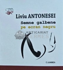 Semne galbene pe ecran negru - 2021 - Liviu Antonesei (N264)