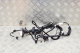 Cablaj ușă st&acirc;nga spate TESLA MODEL Y 2020 OEM: 1489053-00-C 13580751