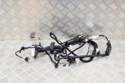Cablaj ușă st&amp;acirc;nga spate TESLA MODEL Y 2020 OEM: 1489053-00-C 13580751 foto