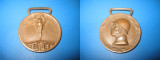 1648-I-Medalia militara Italia Unita-razboiul 1915-1918 bronz.