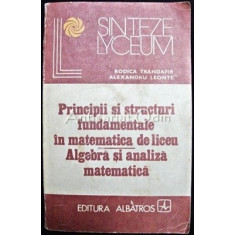 Principii Si Structuri Fundamentale In Matematica De Liceu - Rodica Trandafir